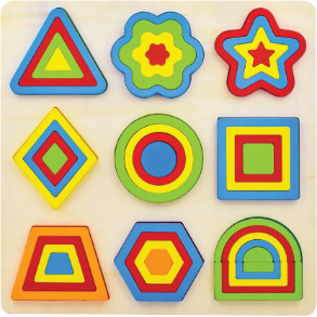 Wooden 9-Shape Montessori Puzzle