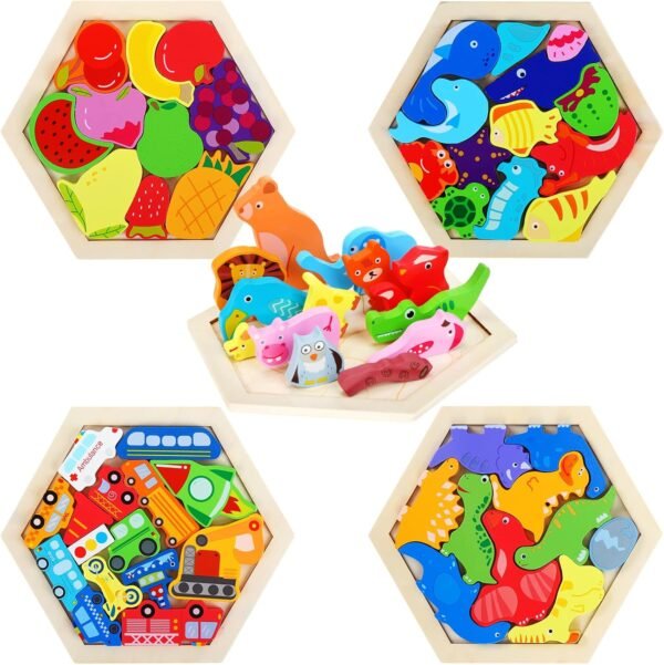 HexaBrain Puzzle Set