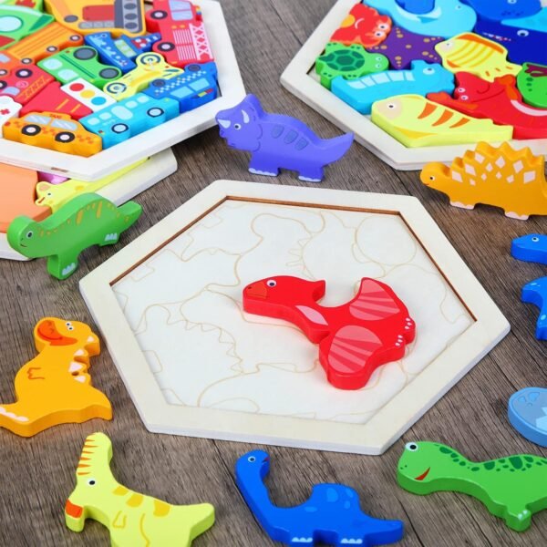 HexaBrain Puzzle Set