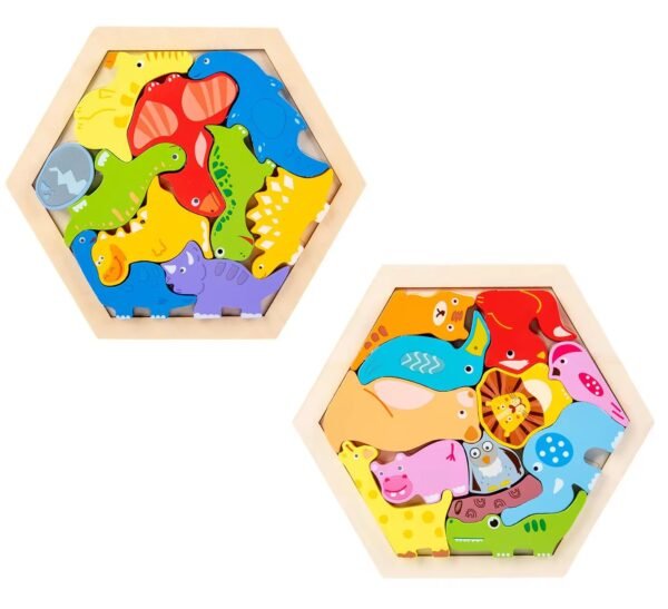 HexaBrain Puzzle Set