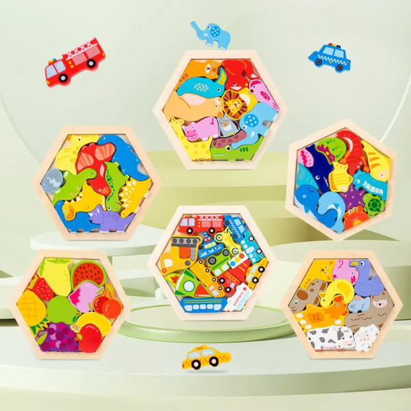 HexaBrain Puzzle Set